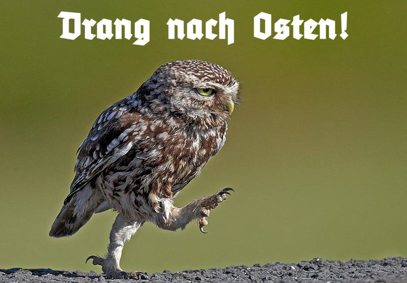 drang_nach_osten