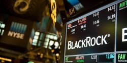 Il Cervello Da Un Miliardo Di Dollari