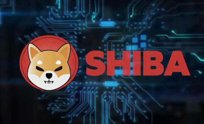 Come Ethereum è stato danneggiato da Shiba Inu, la brutta copia di DogeCoin
