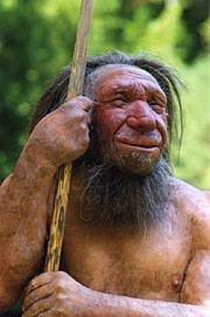 Texas: quanto il pensiero Neanderthaliano ha ragione: zero morti anche senza divieti