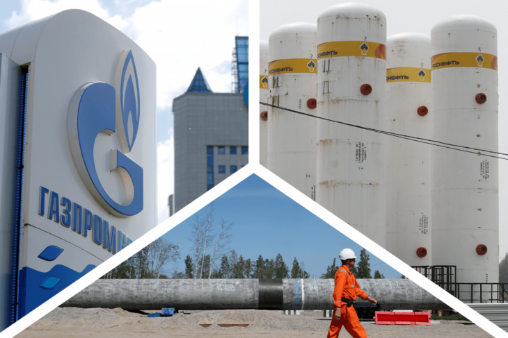 La Germania pensa alla nazionalizzazione delle filiali dei colossi Gazprom e Rosfnet