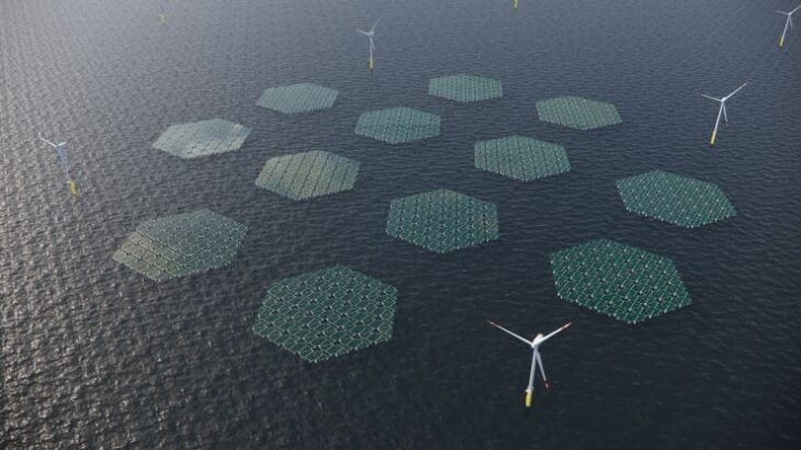 Energia solare galleggiante: parte una sperimentazione nel Mare del Nord. Perché non l’Adriatico?