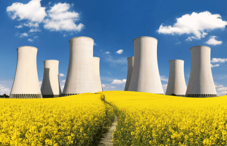 nuclear power nuclear power plants