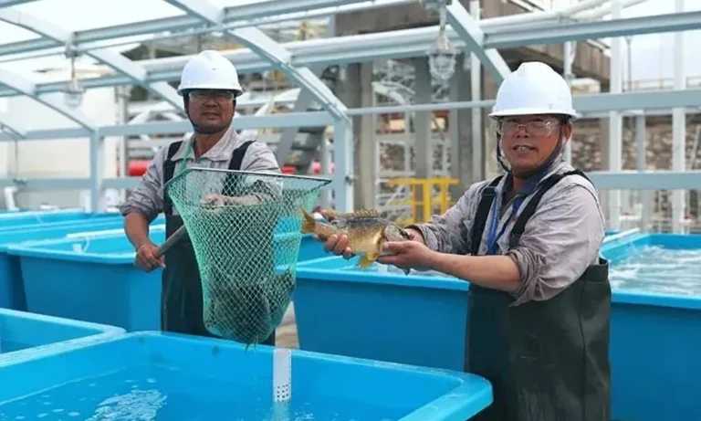 prestigious aquaculture