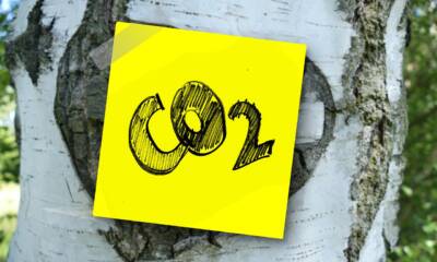 CO2, simbolo chimico dell'anidride carbonica