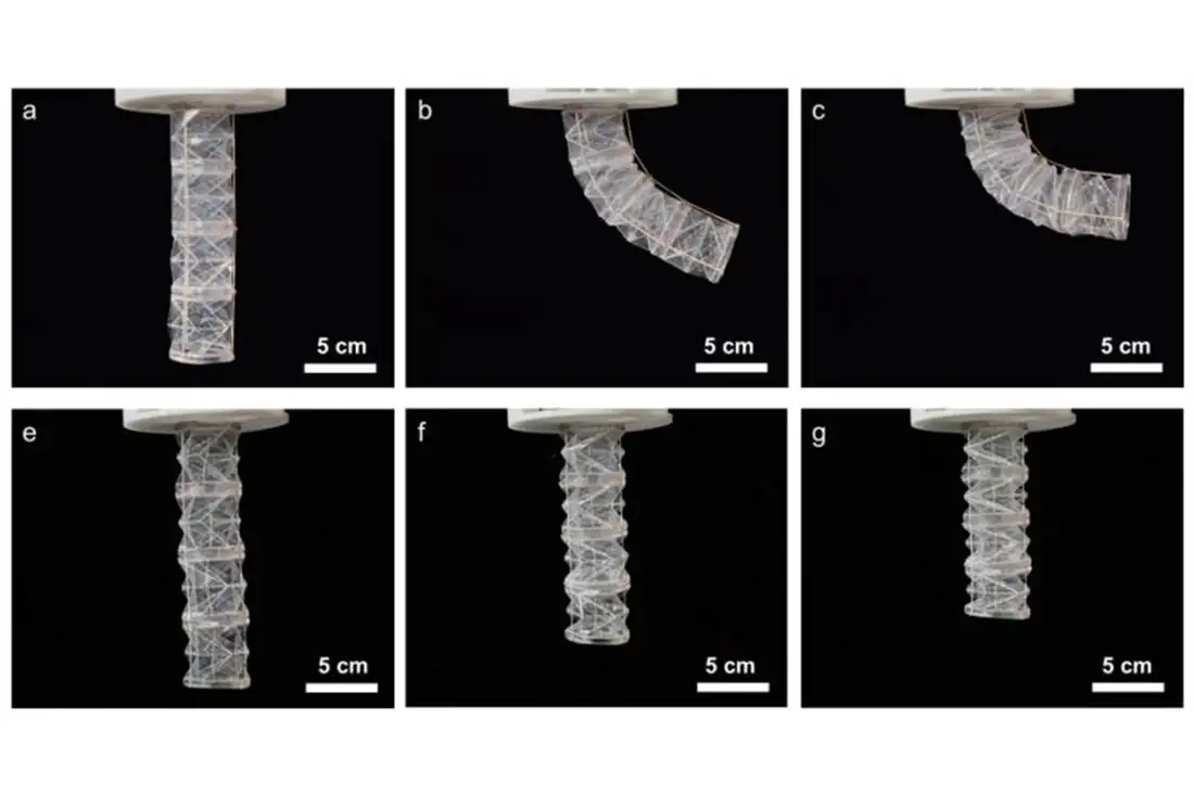 Realizzato un Braccio Robotico biodegradabile usando la tecnica degli Origami