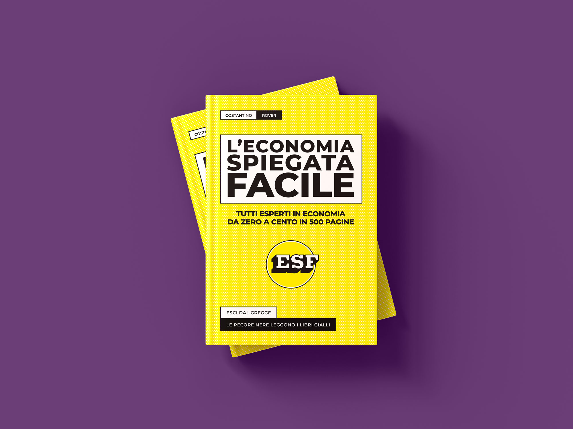 Libro di economia spiegata facile 6a edizione - 2025, Costantino Rover - Gingko Edizioni