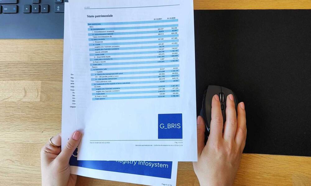 GBRIS rende disponibili i rapporti aziendali di 16 paesi