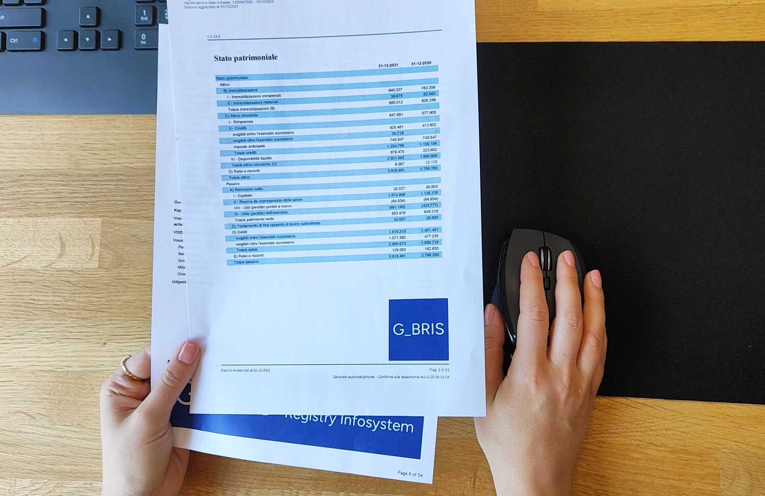 GBRIS rende disponibili i rapporti aziendali di 16 paesi