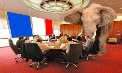 Elefante nella stanza in Francia_Moneta Positiva