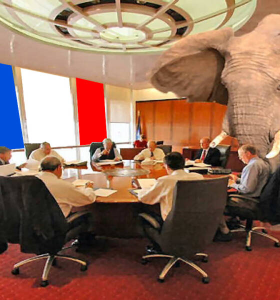 Elefante nella stanza in Francia_Moneta Positiva