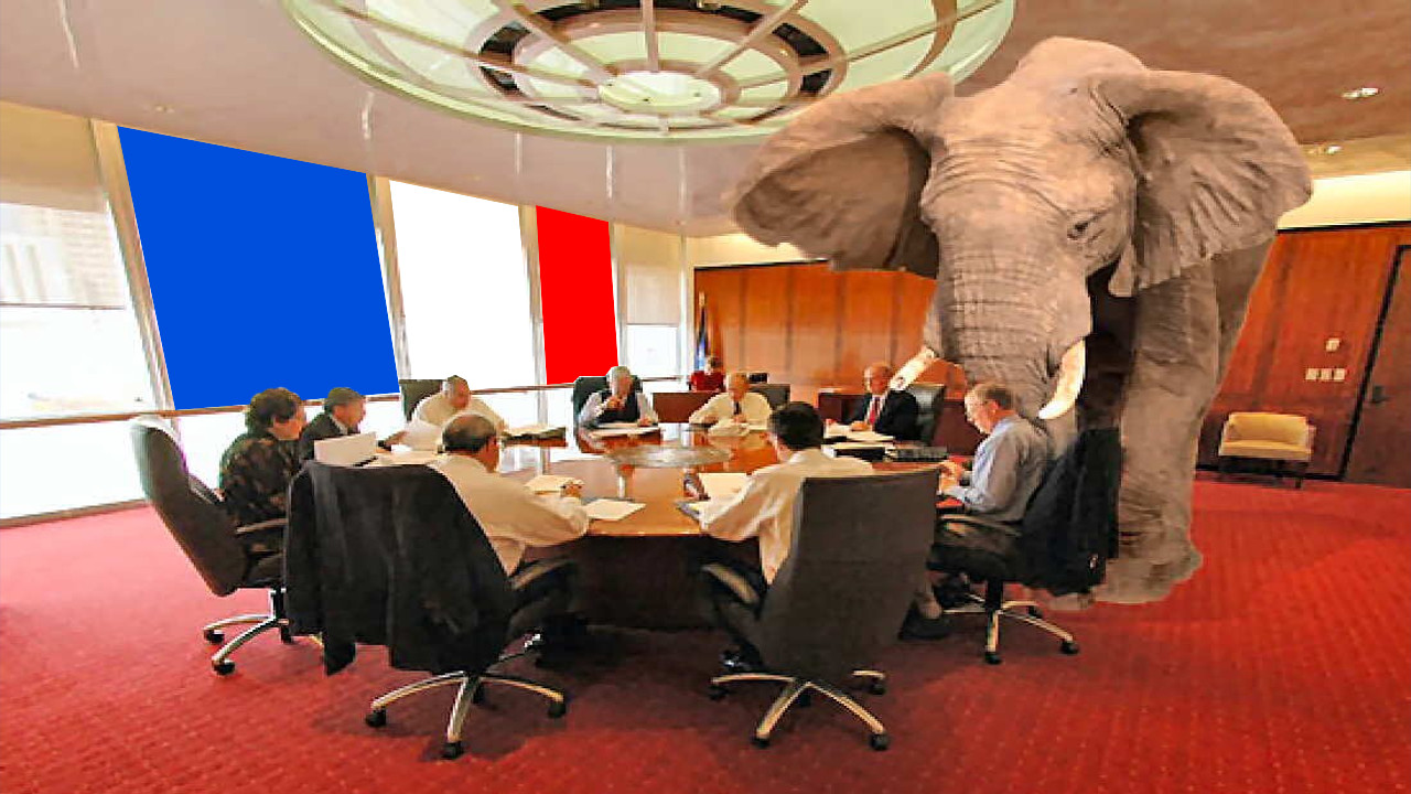 Elefante nella stanza in Francia_Moneta Positiva