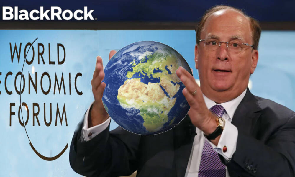 Black Rock_WEF_Moneta_Positiva