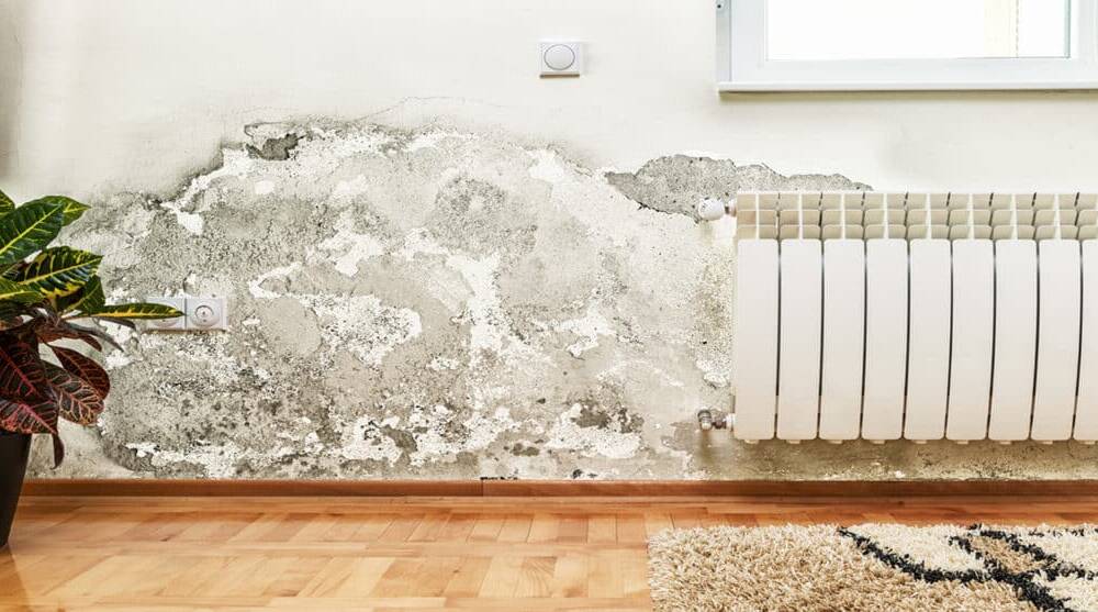 Umidità e salnitro sul muro