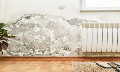 Umidità e salnitro sul muro