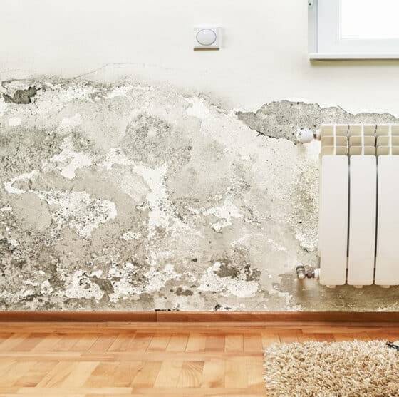 Umidità e salnitro sul muro