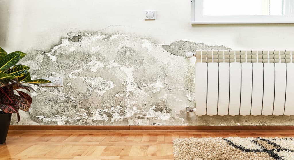 Umidità e salnitro sul muro