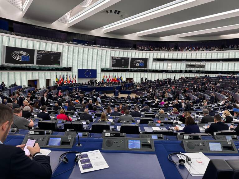 L’anomalia italiana del voto di preferenza nelle elezioni europee – di Antonio Maria Rinaldi