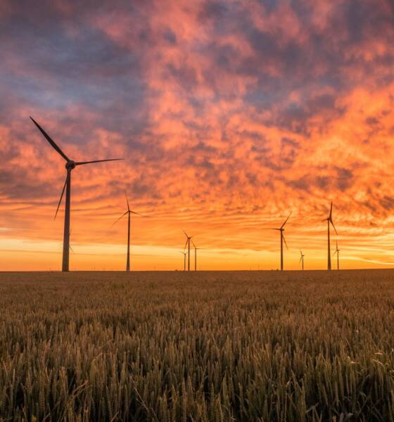 Pale eoliche al tramonto