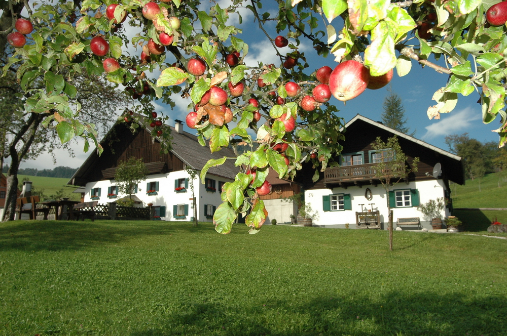 Agriturismo