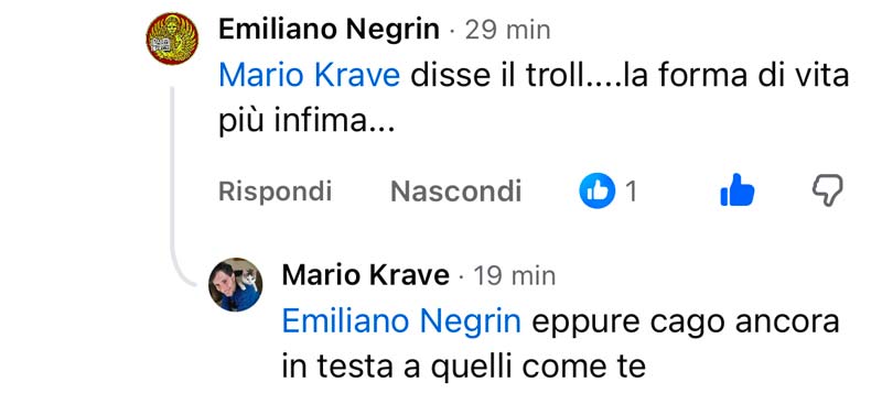 Mario Krave analfabetismo digitaleanalfabetismo funzionale PIAAC OCSE competenze digitali ISTAT polarizzazione disinformazione online bias di conferma guerra in Ucraina battaglione Azov