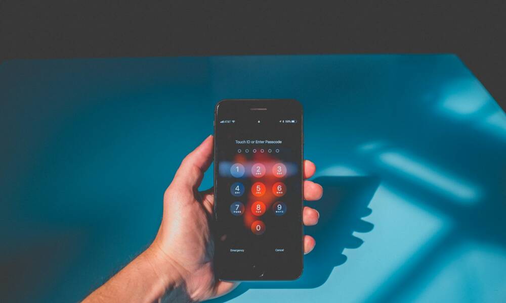 Smartphone in mano