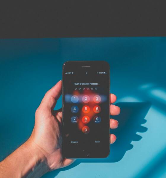 Smartphone in mano